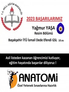 Güzel sanatlar liseleri  özel yetenek başarıları