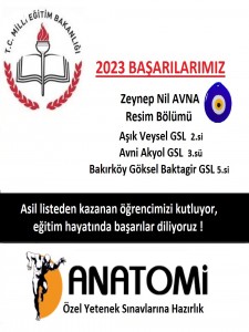 Güzel sanatlar liseleri  özel yetenek başarıları