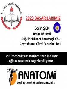 Güzel sanatlar liseleri  özel yetenek başarıları