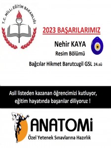 Güzel sanatlar liseleri  özel yetenek başarıları