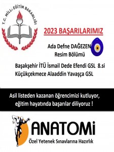 Güzel sanatlar liseleri  özel yetenek başarıları