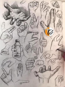 Yetenek Sınavlarına Hazırlık Anatomi Çalışmaları