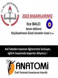 Güzel sanatlar liseleri  özel yetenek başarıları